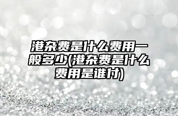 港雜費(fèi)是什么費(fèi)用一般多少(港雜費(fèi)是什么費(fèi)用是誰付)