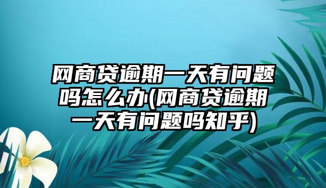 網商貸逾期一天有問題嗎怎么辦(網商貸逾期一天有問題嗎知乎)