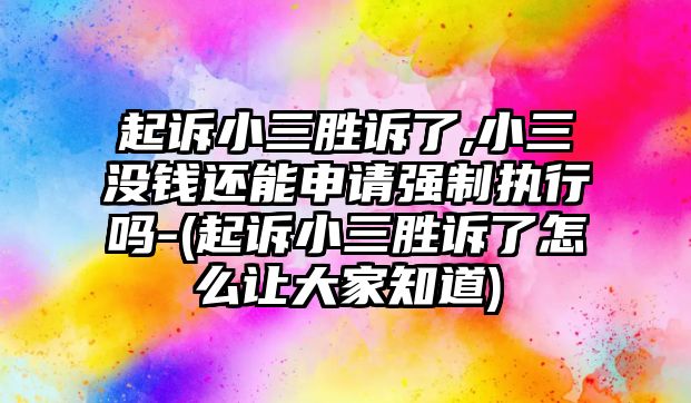 起訴小三勝訴了,小三沒錢還能申請強制執行嗎-(起訴小三勝訴了怎么讓大家知道)