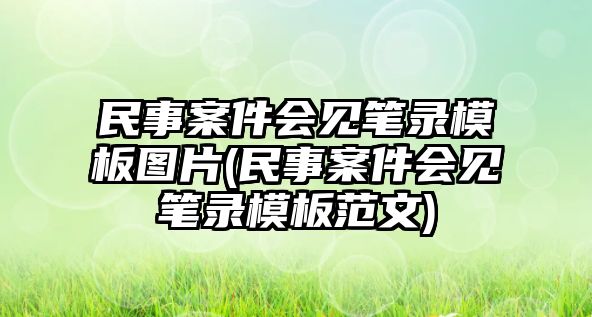 民事案件會見筆錄模板圖片(民事案件會見筆錄模板范文)