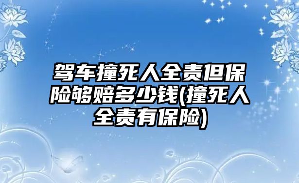 駕車撞死人全責但保險夠賠多少錢(撞死人全責有保險)