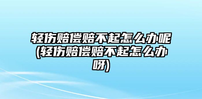 輕傷賠償賠不起怎么辦呢(輕傷賠償賠不起怎么辦呀)