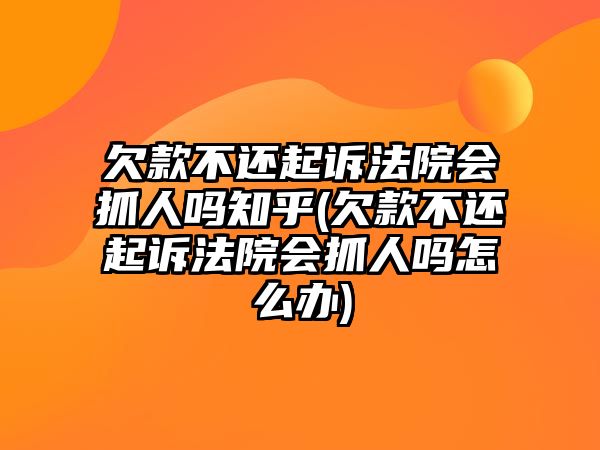 欠款不還起訴法院會抓人嗎知乎(欠款不還起訴法院會抓人嗎怎么辦)