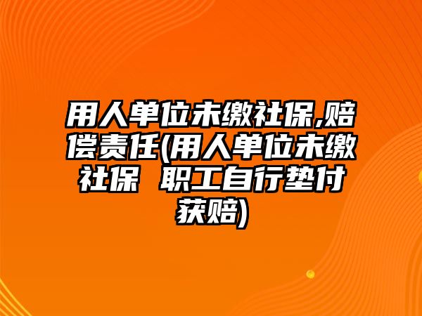 用人單位未繳社保,賠償責任(用人單位未繳社保 職工自行墊付獲賠)