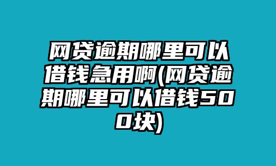 網貸逾期哪里可以借錢急用啊(網貸逾期哪里可以借錢500塊)