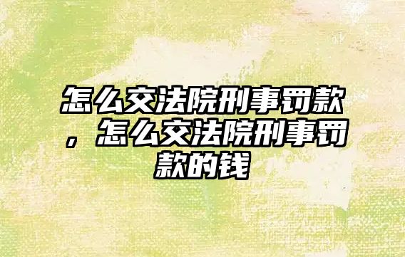 怎么交法院刑事罰款，怎么交法院刑事罰款的錢