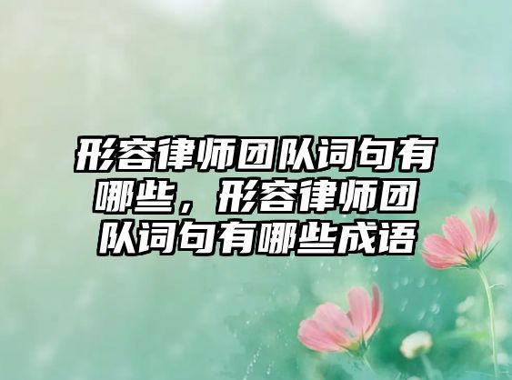 形容律師團(tuán)隊(duì)詞句有哪些，形容律師團(tuán)隊(duì)詞句有哪些成語(yǔ)