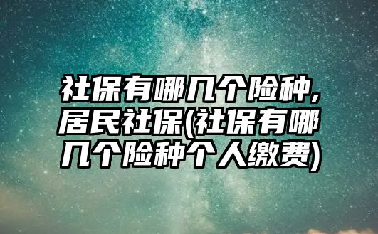 社保有哪幾個險種,居民社保(社保有哪幾個險種個人繳費)