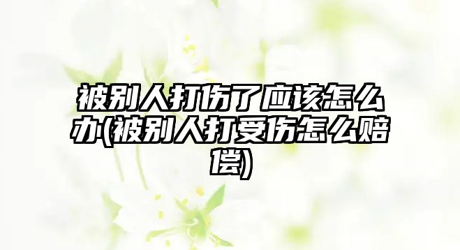 被別人打傷了應該怎么辦(被別人打受傷怎么賠償)