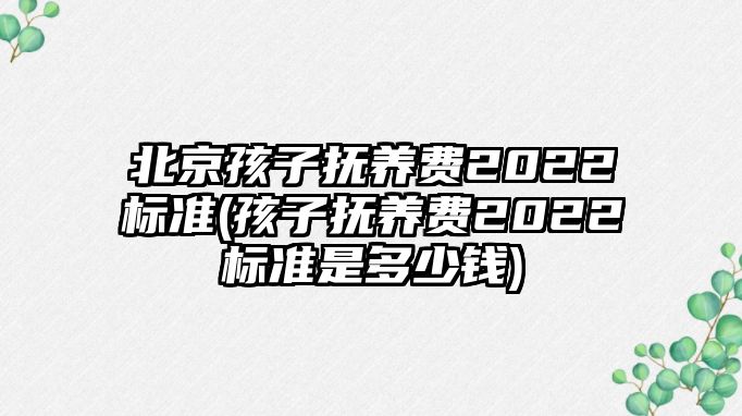 北京孩子撫養(yǎng)費(fèi)2022標(biāo)準(zhǔn)(孩子撫養(yǎng)費(fèi)2022標(biāo)準(zhǔn)是多少錢)