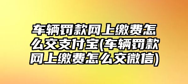 車輛罰款網上繳費怎么交支付寶(車輛罰款網上繳費怎么交微信)