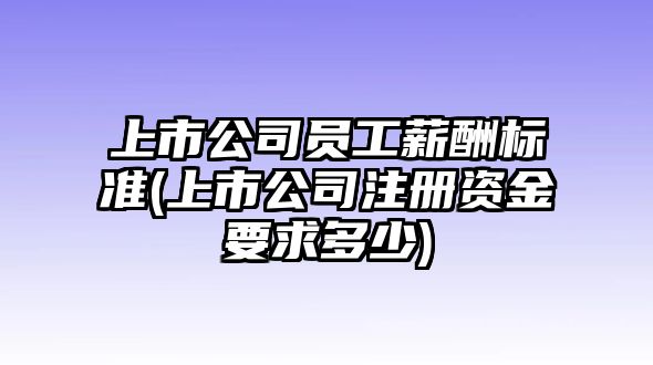 上市公司員工薪酬標(biāo)準(zhǔn)(上市公司注冊資金要求多少)