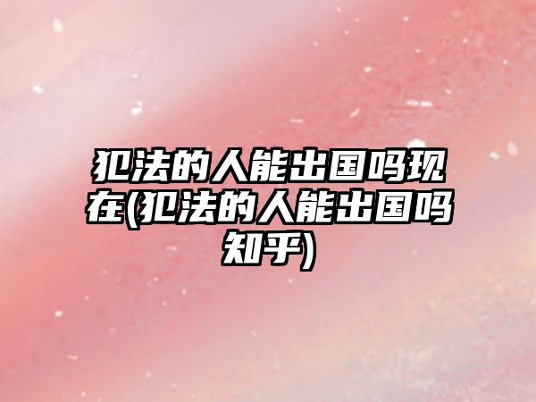 犯法的人能出國嗎現在(犯法的人能出國嗎知乎)