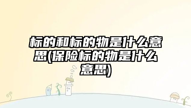 標的和標的物是什么意思(保險標的物是什么意思)