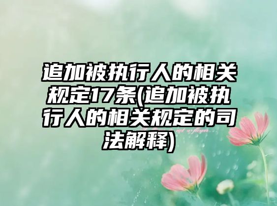 追加被執行人的相關規定17條(追加被執行人的相關規定的司法解釋)