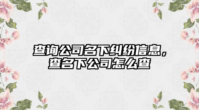 查詢公司名下糾紛信息，查名下公司怎么查