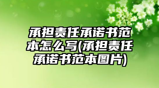 承擔責任承諾書范本怎么寫(承擔責任承諾書范本圖片)