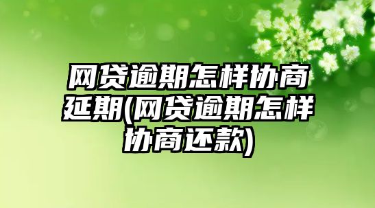 網貸逾期怎樣協商延期(網貸逾期怎樣協商還款)