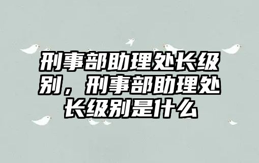 刑事部助理處長(zhǎng)級(jí)別，刑事部助理處長(zhǎng)級(jí)別是什么