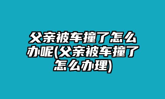 父親被車撞了怎么辦呢(父親被車撞了怎么辦理)