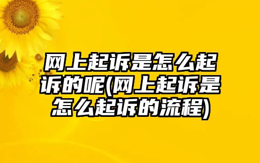 網上起訴是怎么起訴的呢(網上起訴是怎么起訴的流程)