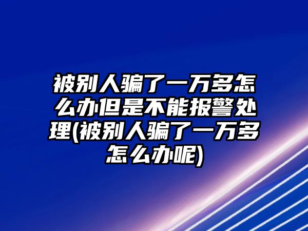 被別人騙了一萬多怎么辦但是不能報警處理(被別人騙了一萬多怎么辦呢)