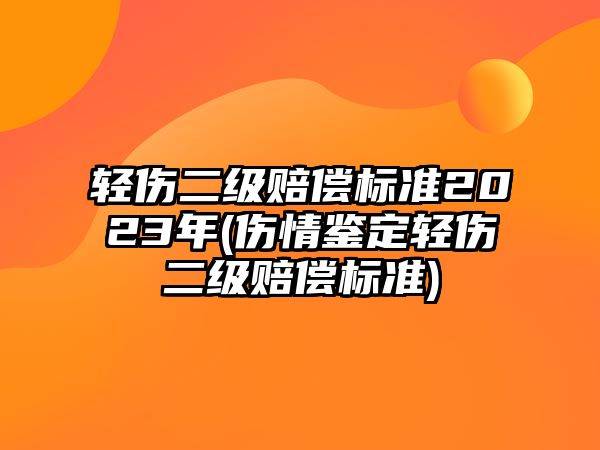 輕傷二級賠償標準2023年(傷情鑒定輕傷二級賠償標準)