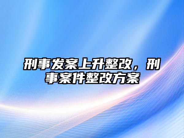 刑事發案上升整改，刑事案件整改方案