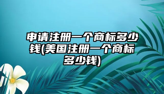 申請注冊一個商標多少錢(美國注冊一個商標多少錢)