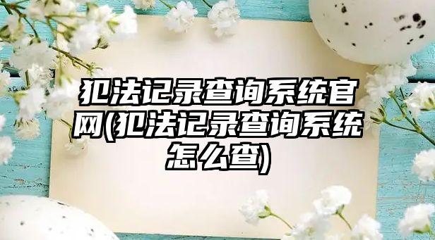 犯法記錄查詢系統官網(犯法記錄查詢系統怎么查)