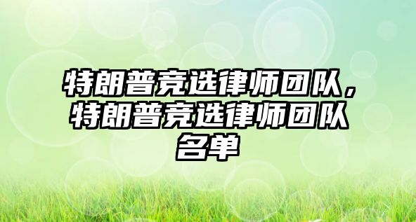 特朗普競選律師團隊，特朗普競選律師團隊名單