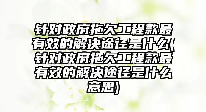 針對政府拖欠工程款最有效的解決途徑是什么(針對政府拖欠工程款最有效的解決途徑是什么意思)