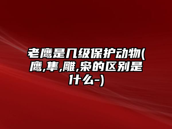 老鷹是幾級(jí)保護(hù)動(dòng)物(鷹,隼,雕,梟的區(qū)別是什么-)