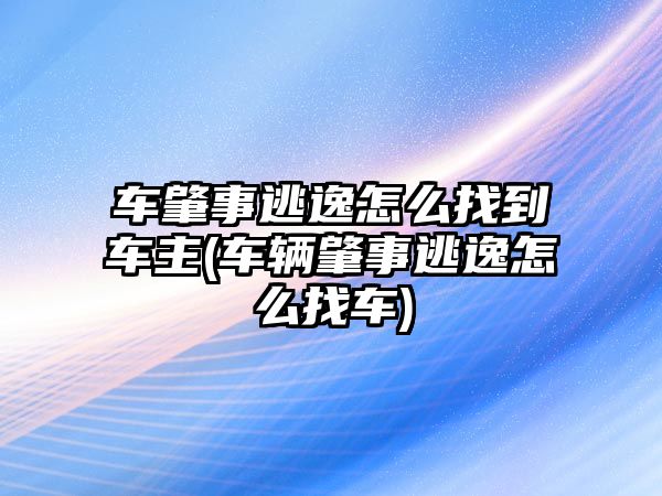 車肇事逃逸怎么找到車主(車輛肇事逃逸怎么找車)