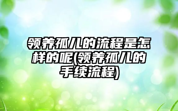 領養孤兒的流程是怎樣的呢(領養孤兒的手續流程)