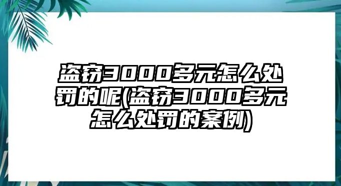 盜竊3000多元怎么處罰的呢(盜竊3000多元怎么處罰的案例)