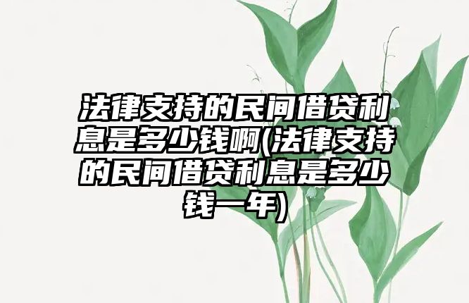 法律支持的民間借貸利息是多少錢啊(法律支持的民間借貸利息是多少錢一年)