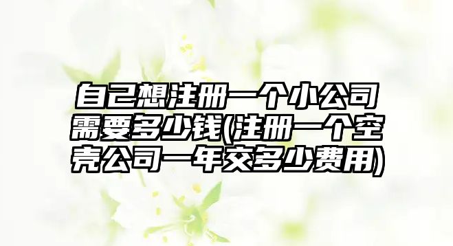 自己想注冊一個小公司需要多少錢(注冊一個空殼公司一年交多少費用)