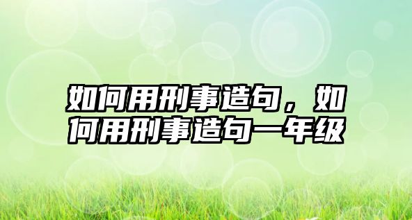 如何用刑事造句，如何用刑事造句一年級