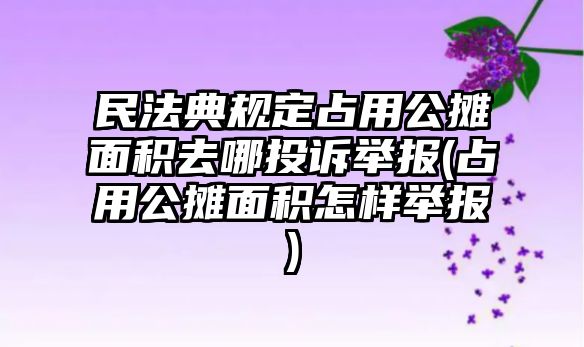 民法典規定占用公攤面積去哪投訴舉報(占用公攤面積怎樣舉報)