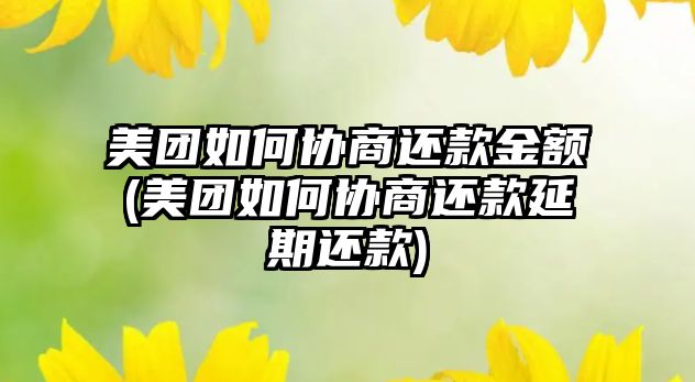 美團如何協商還款金額(美團如何協商還款延期還款)