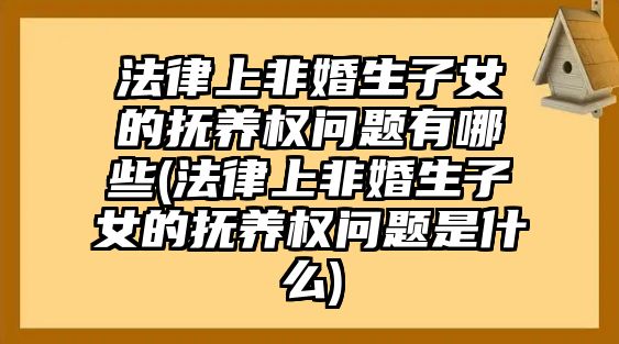 法律上非婚生子女的撫養(yǎng)權(quán)問題有哪些(法律上非婚生子女的撫養(yǎng)權(quán)問題是什么)