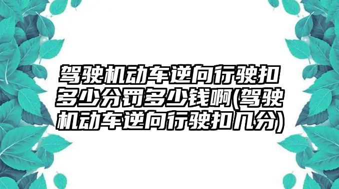 駕駛機動車逆向行駛扣多少分罰多少錢啊(駕駛機動車逆向行駛扣幾分)