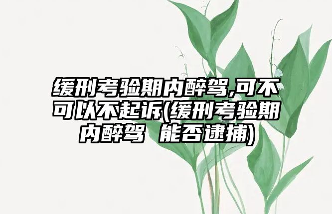 緩刑考驗期內醉駕,可不可以不起訴(緩刑考驗期內醉駕 能否逮捕)