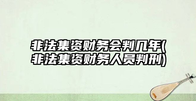 非法集資財務會判幾年(非法集資財務人員判刑)