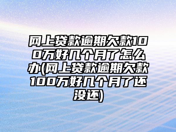 網(wǎng)上貸款逾期欠款100萬好幾個月了怎么辦(網(wǎng)上貸款逾期欠款100萬好幾個月了還沒還)