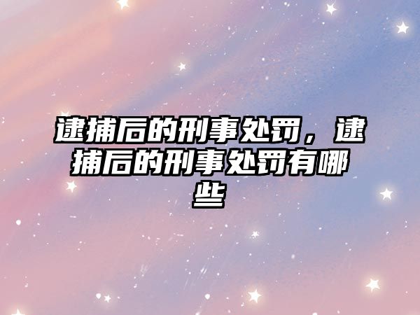 逮捕后的刑事處罰，逮捕后的刑事處罰有哪些