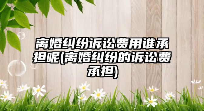 離婚糾紛訴訟費用誰承擔呢(離婚糾紛的訴訟費承擔)