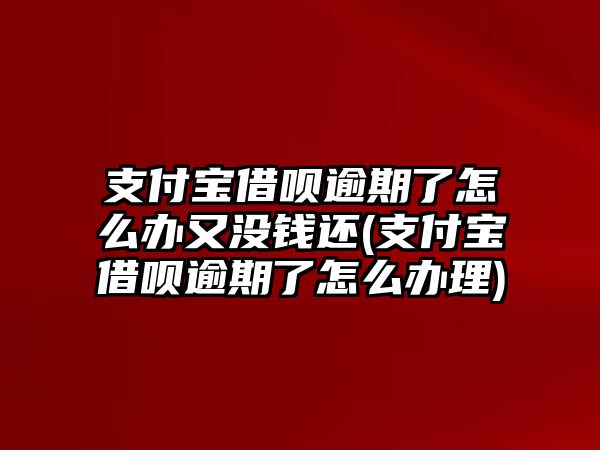 支付寶借唄逾期了怎么辦又沒錢還(支付寶借唄逾期了怎么辦理)