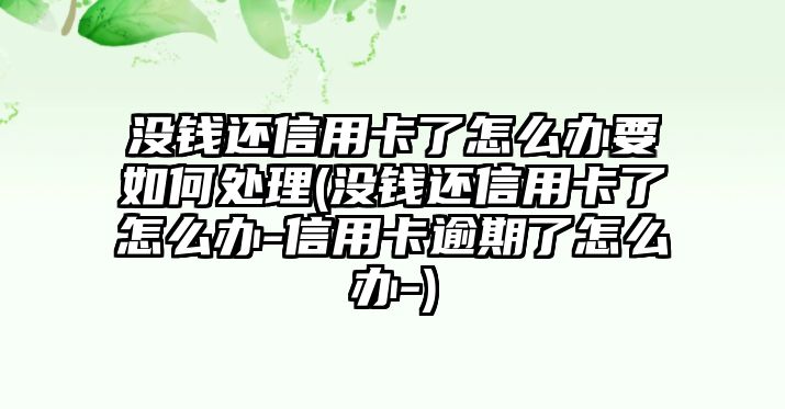 沒錢還信用卡了怎么辦要如何處理(沒錢還信用卡了怎么辦-信用卡逾期了怎么辦-)